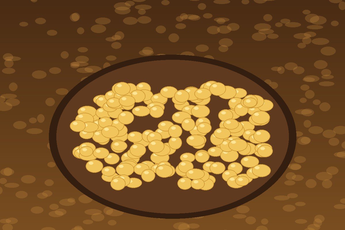 Termis Beans